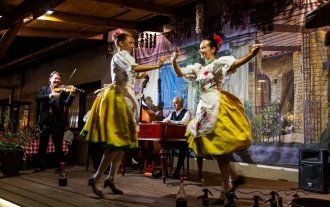 Koncert orkiestry symfonicznej Dunaj